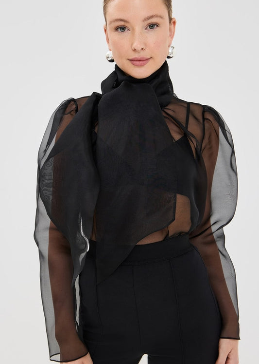 BLACK ORGANZA TOP